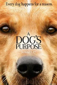 A Dog’s Purpose (2017) หมา เป้าหมาย และเด็กชายของผม