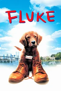 Fluke (1995) เกิดใหม่กลายเป็นหมา